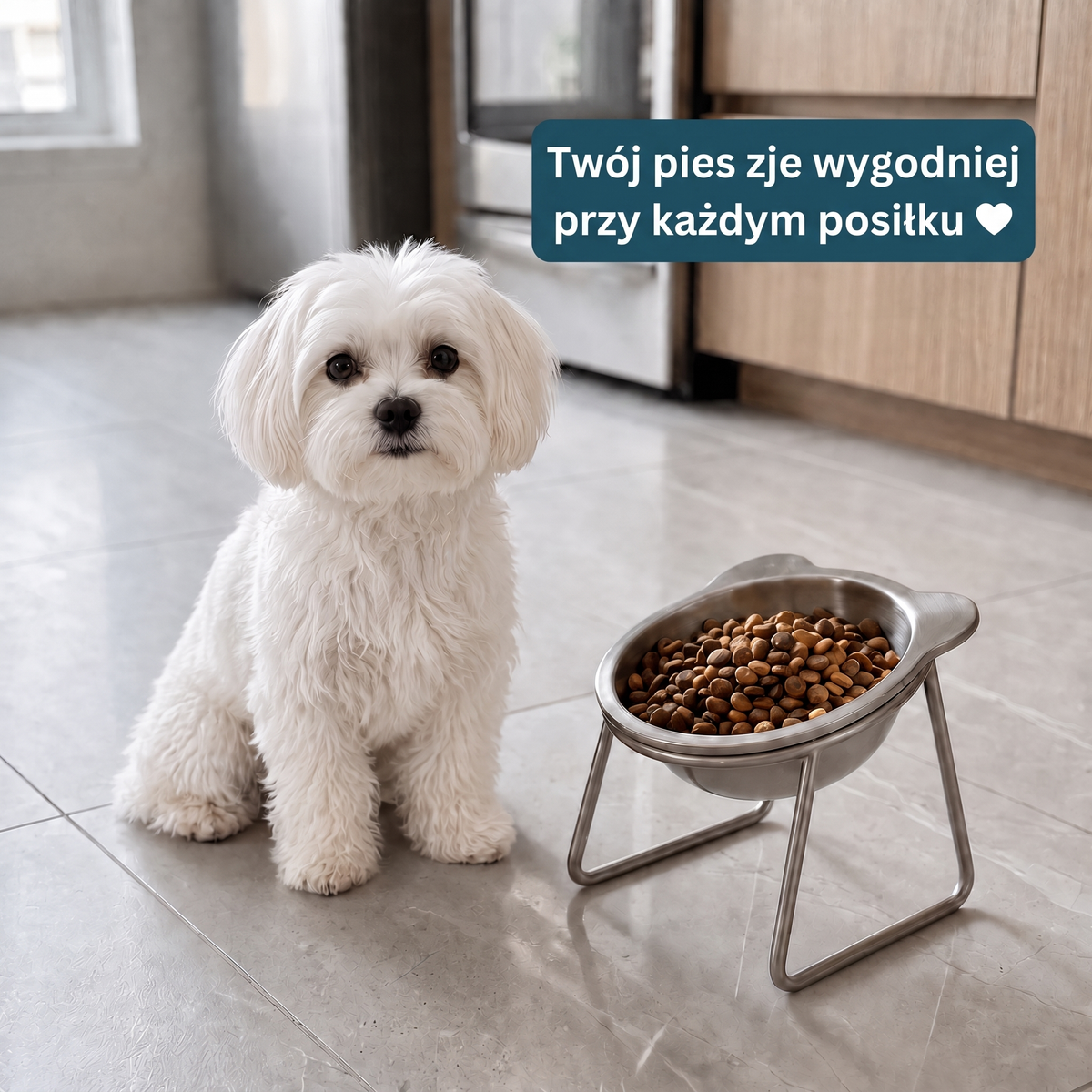 Twój pies zje wygodniej przy każdym posiłku